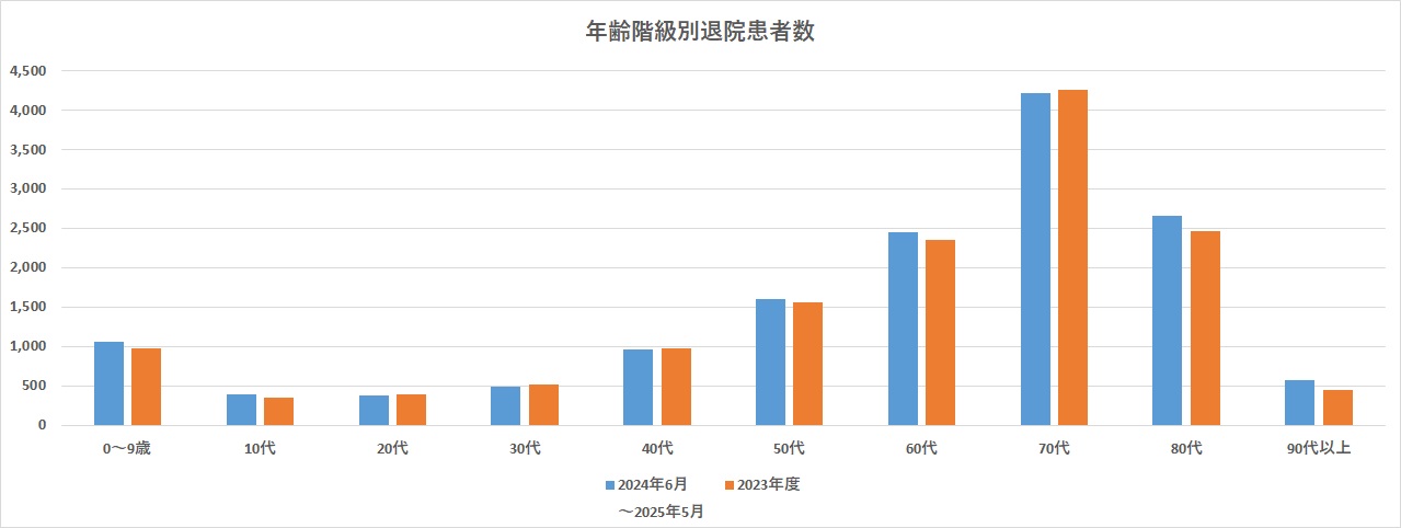 2025年度　年間階級別退院患者数