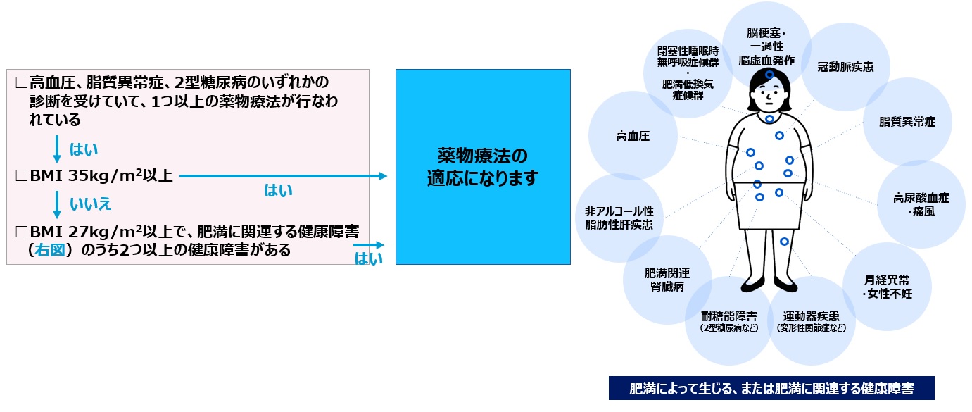 肥満症とは(薬物療法適応)