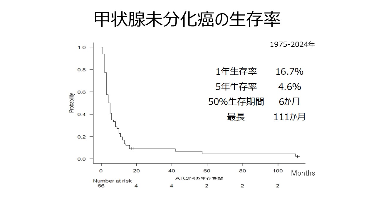 乳腺甲状腺外科 2024 甲状腺未分化癌の生存率