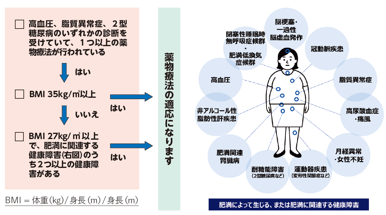肥満症とは 健康障害 図