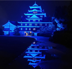 脳卒中の予防　岡山城ライトアップ
