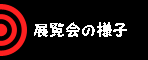 W̗lq