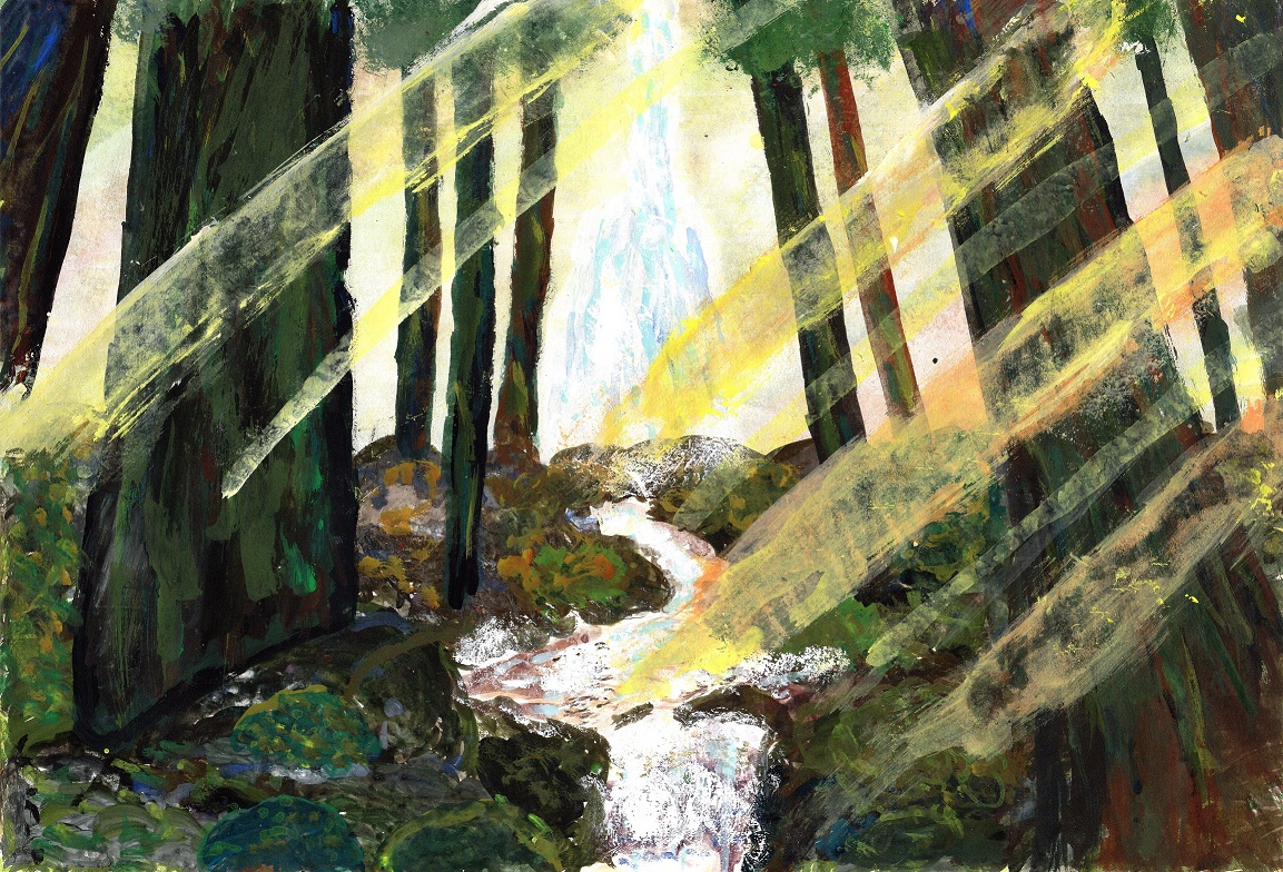 森と光