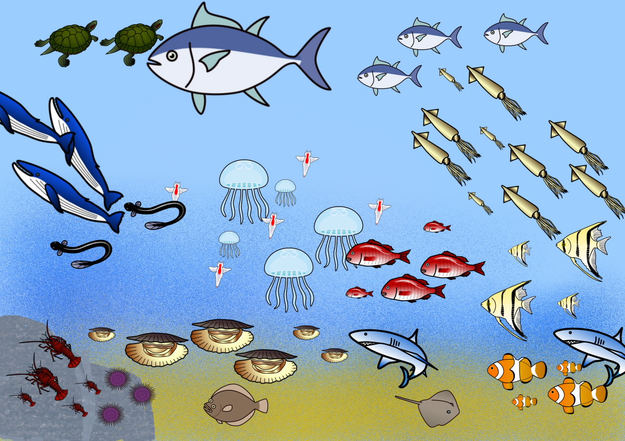 いろんな魚の群れ