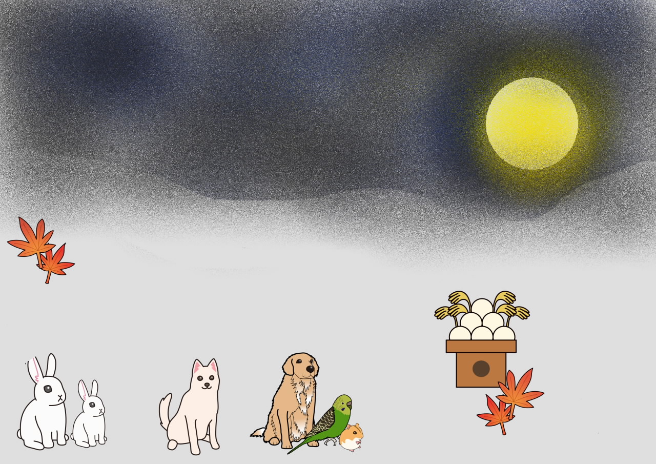 動物の満月