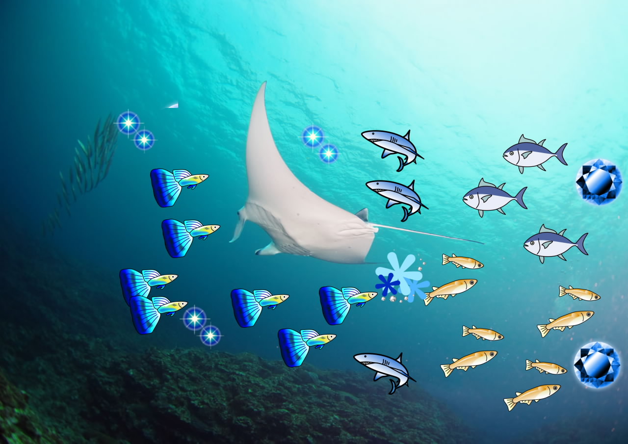 海の中