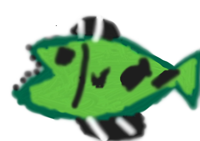 ブラックバス