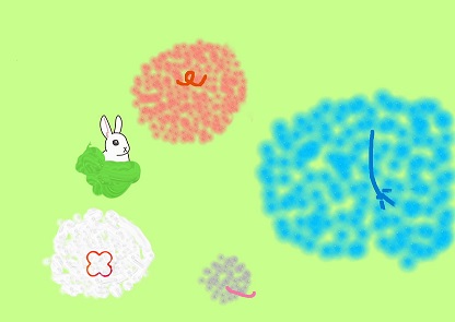 おしり
